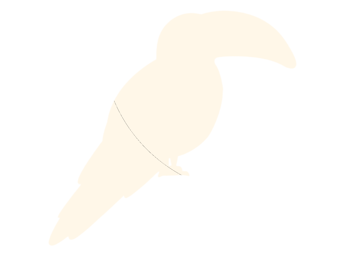 GitHub Repo: chirpy (dark mode)